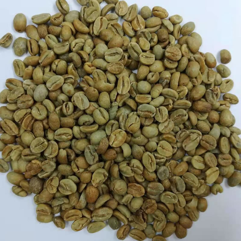生豆圖.jpg